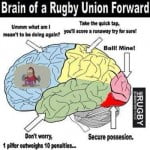 rugby brain